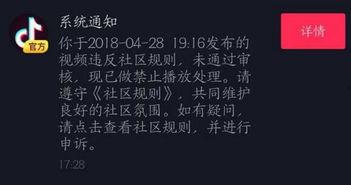 最新抖音爆料简介大全,揭秘热门短视频背后的故事与幕后花絮