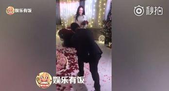 何雨馨男友爆料视频播放,揭秘背后真相