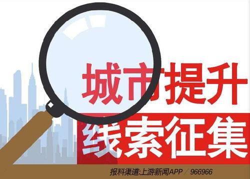 周口新闻爆料热线电话,倾听民声,守护正义 第2张 周口新闻爆料热线电话,倾听民声,守护正义 第2张