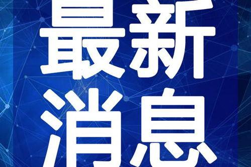 金华爆料今天最新消息视频,视频揭露惊人真相！