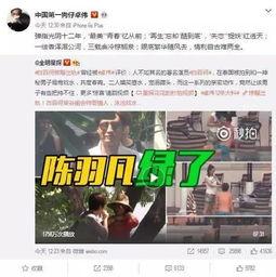 七台河出轨爆料新闻视频,视频揭露惊人真相，引发社会关注
