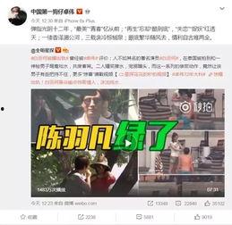 网红爆料田小野视频下载,田小野视频下载引发热议，独家解析幕后真相  第3张